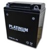 Platinum CTM12L-BS